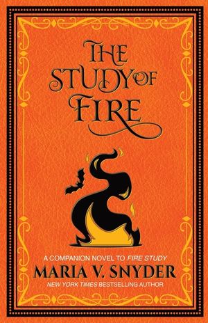 The Study of Fire image number 0