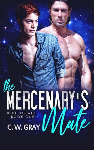 The Mercenary's Mate image number 0