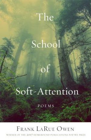The School of Soft Attention image number 0