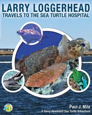 Larry Loggerhead Travels to the Sea Turtle Hospital image number 0