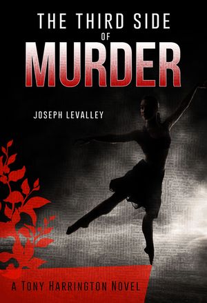 The Third Side of Murder image number 0