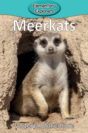 Meerkats image number 0