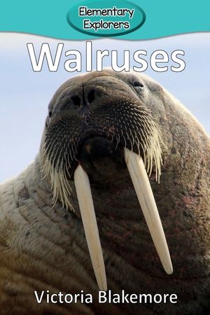 Walruses image number 0