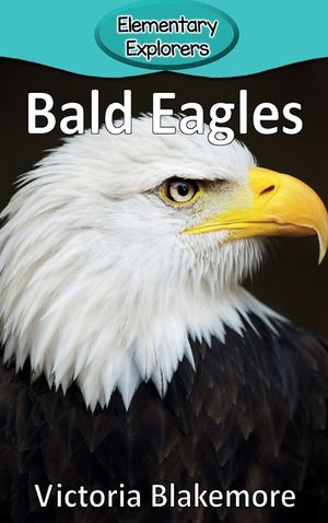 Bald Eagles image number 0