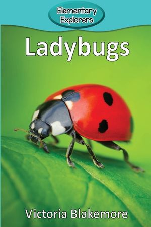 Ladybugs image number 0