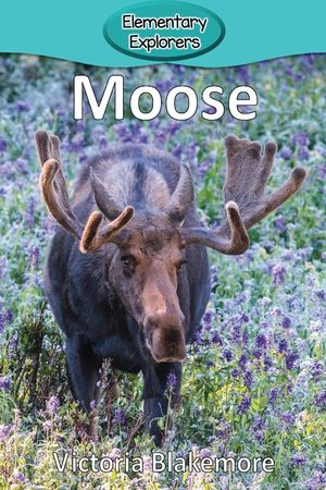 Moose image number 0