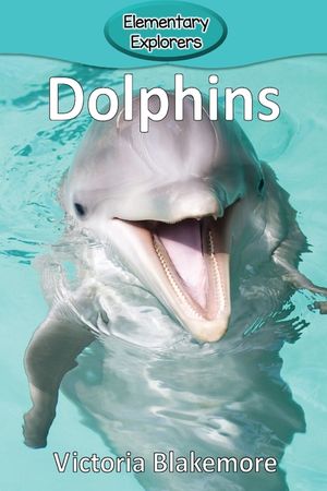Dolphins image number 0