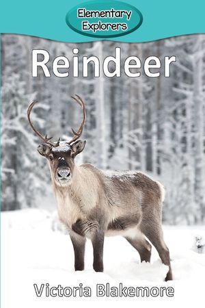 Reindeer image number 0