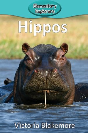 Hippos image number 0