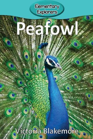 Peafowl image number 0