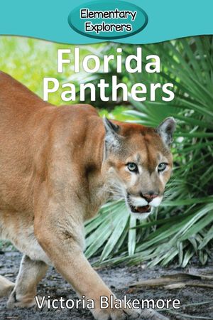 Florida Panthers image number 0
