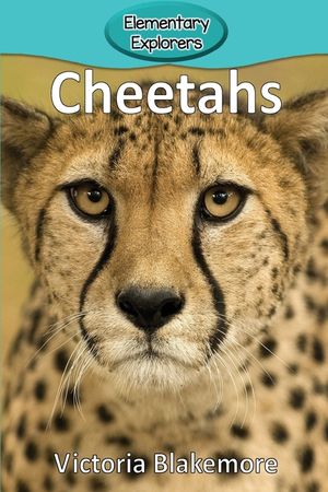 Cheetahs image number 0