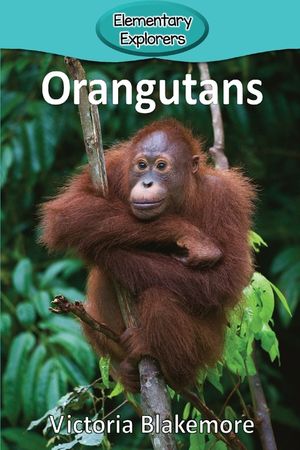 Orangutans image number 0