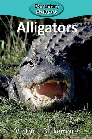 Alligators image number 0
