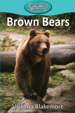 Brown Bears image number 0