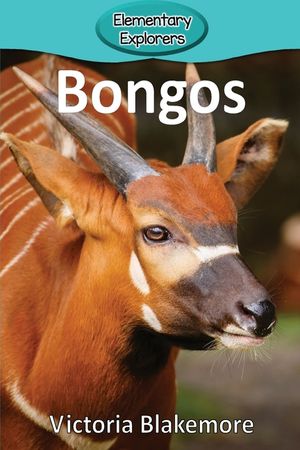 Bongos image number 0