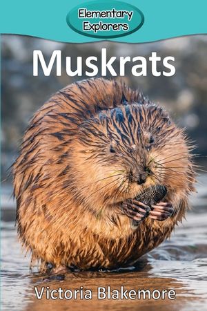 Muskrats image number 0