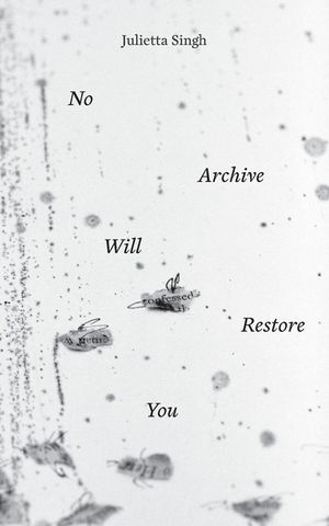 No Archive Will Restore You image number 0