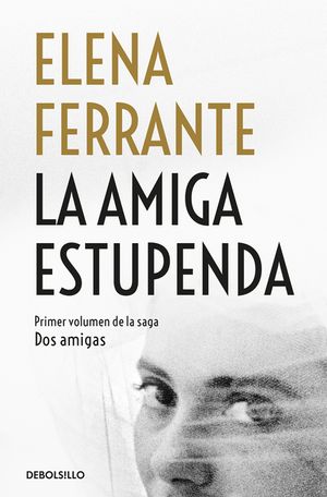 La Amiga Estupenda / My Brilliant Friend image number 0