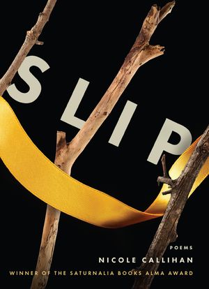 Slip image number 0