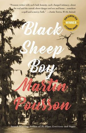 Black Sheep Boy: A Novel in Stories image number 0