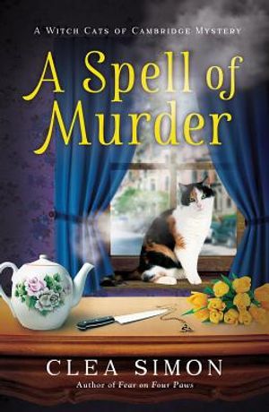 A Spell of Murder image number 0