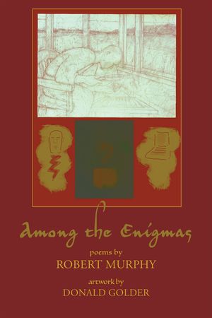 Among the Enigmas image number 0