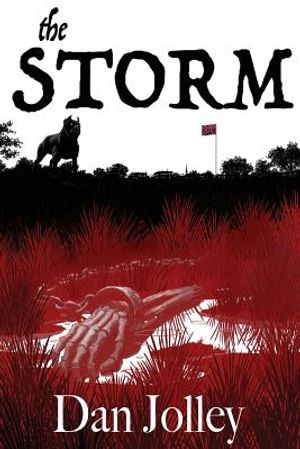 The Storm image number 0