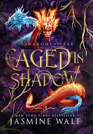 Caged in Shadow image number 0