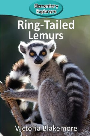 Ring-Tailed Lemurs image number 0