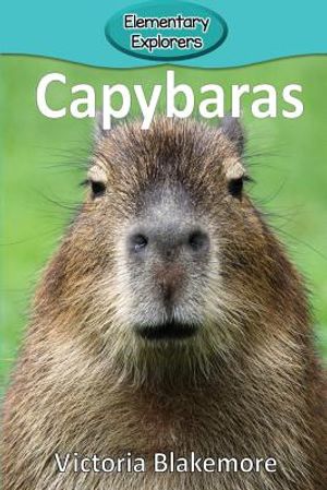 Capybaras image number 0