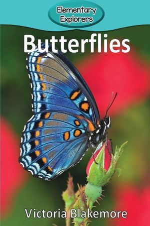 Butterflies image number 0