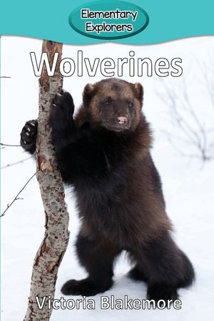 Wolverines image number 0