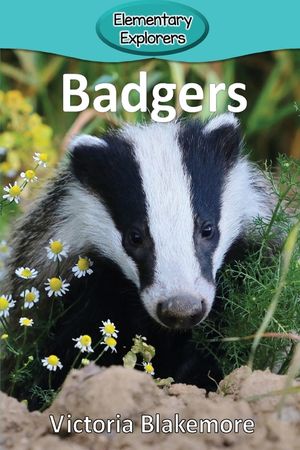 Badgers image number 0