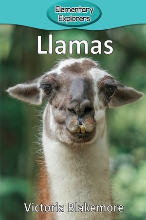 Llamas image number 0