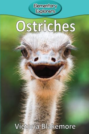 Ostriches image number 0