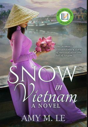 Snow in Vietnam image number 0