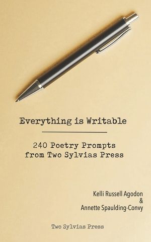 Everything is Writable: 240 Poetry Prompts from Two Sylvias Press image number 0