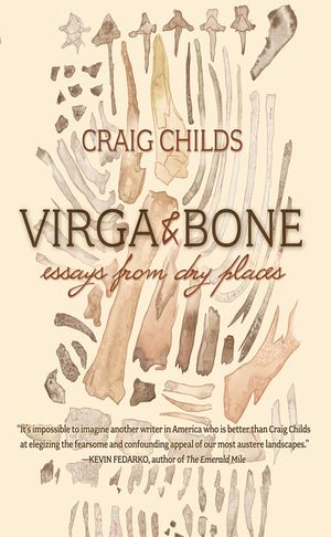 Virga & Bone: Essays from Dry Places image number 0