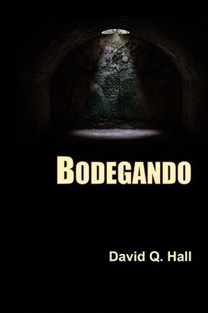 Bodegando image number 0