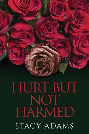 Hurt But Not Harmed image number 0