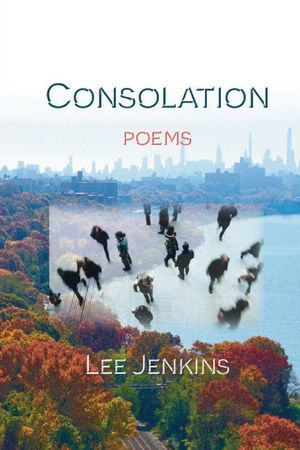 Consolation; Poems image number 0