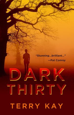 Dark Thirty image number 0