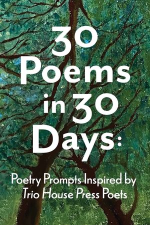 30 Poems in 30 Days: Poetry Prompts Inspired by Trio House Press Poets image number 0