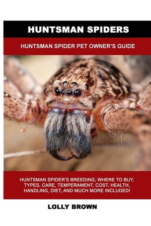 Huntsman Spiders: Huntsman Spider Pet Owner's Guide image number 0