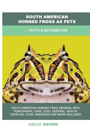 South American Horned Frogs as Pets: Facts & Information image number 0
