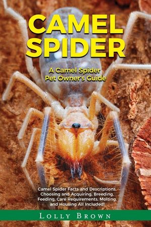 Camel Spider: A Camel Spider Pet Owner's Guide image number 0