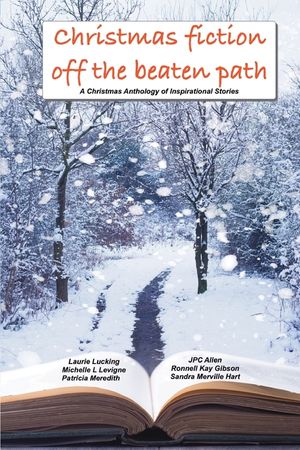 Christmas Fiction Off the Beaten Path: A Christmas anthology of inspirational stories image number 0