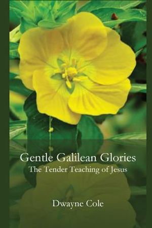 Gentle Galilean Glories: The Tender Teachings of Jesus image number 0