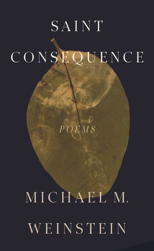 Saint Consequence image number 0